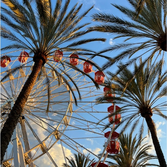 Meet your Posher, Mr.Brooks - Picture 1 of 1